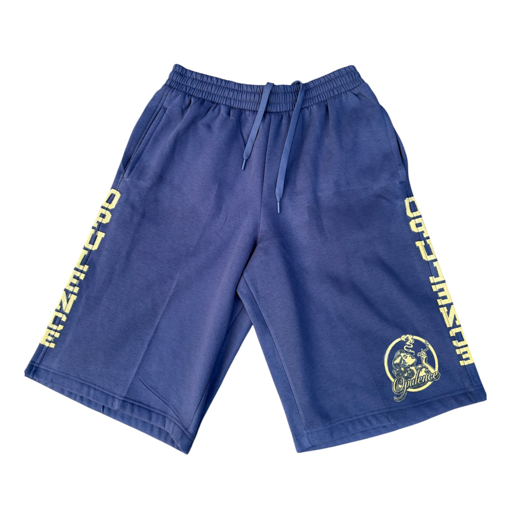 NAVY 3/4 Shorts